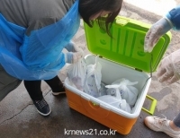 기사이미지