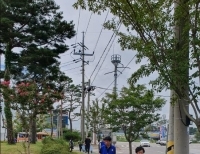 기사이미지