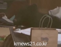 기사이미지